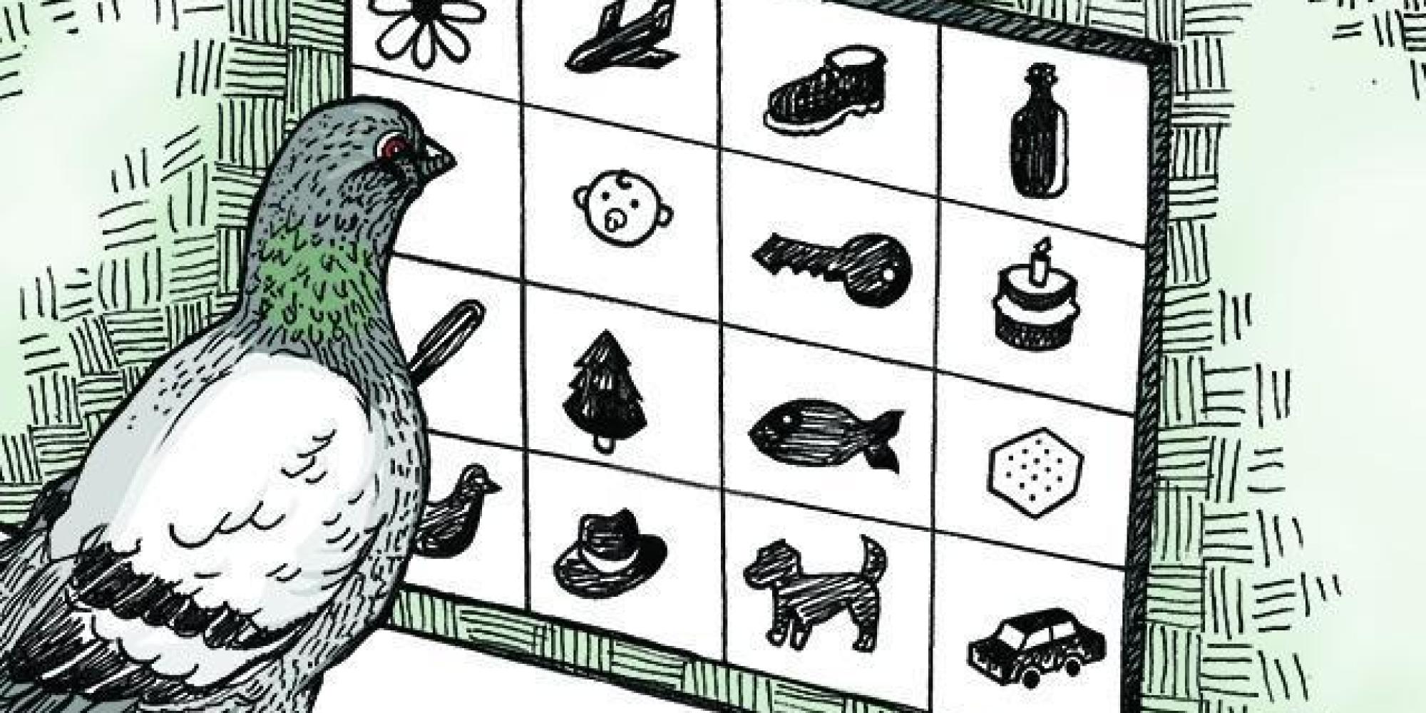 Little Kids Learn The Same Way Pigeons Do HuffPost