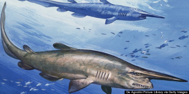 Fishermen Overseas Haul Up Strange 'Living Fossil'