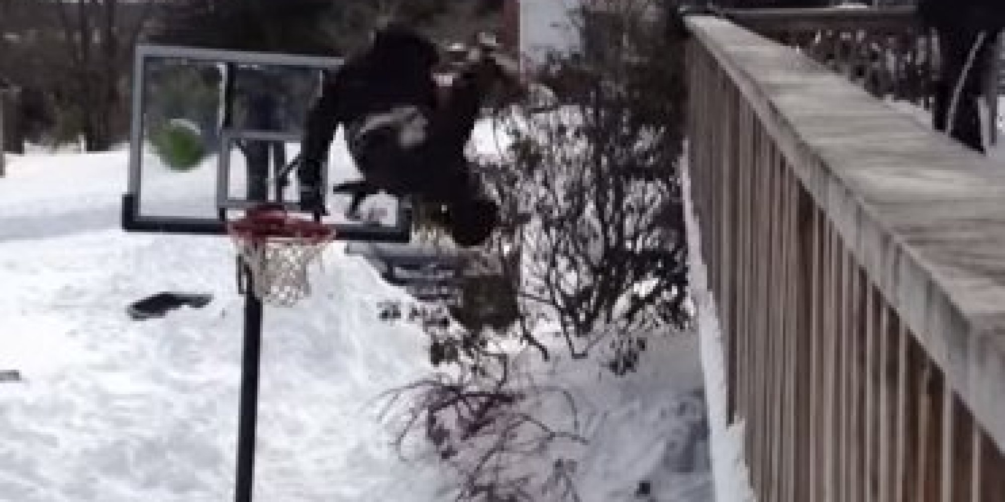 dunk low snow