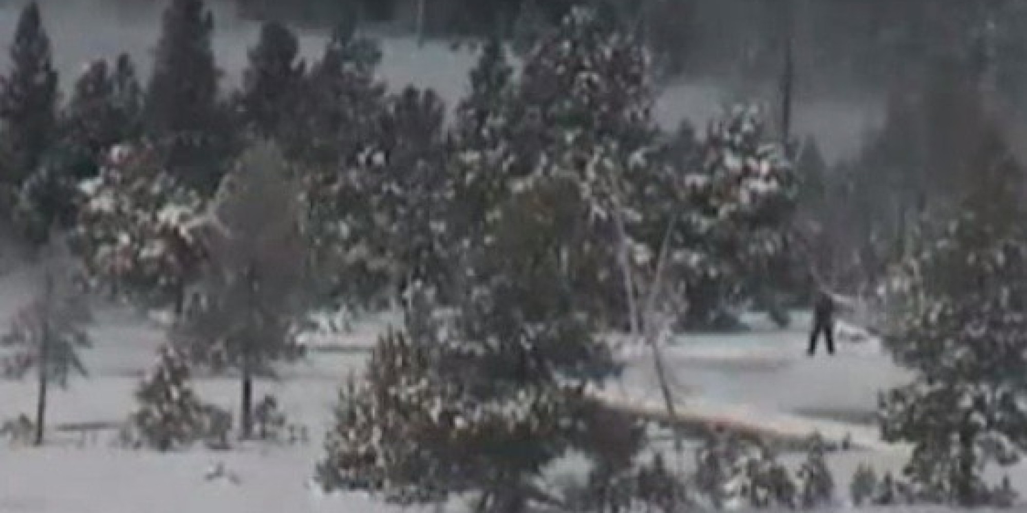 Bigfoot In Yellowstone National Park, According To Latest Viral Video  HuffPost