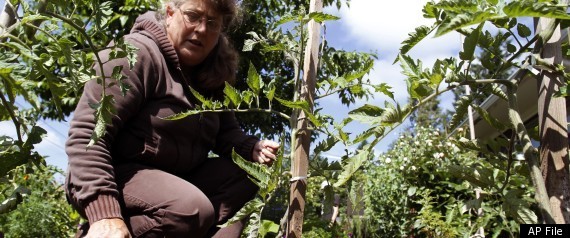 Garden Chemicals Lead Arsenic