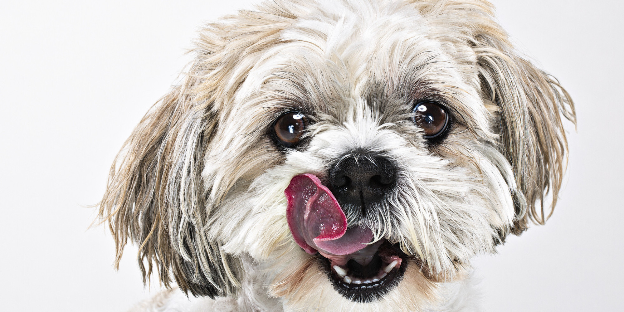 With Happiness, Don't Go for a Gusher HuffPost