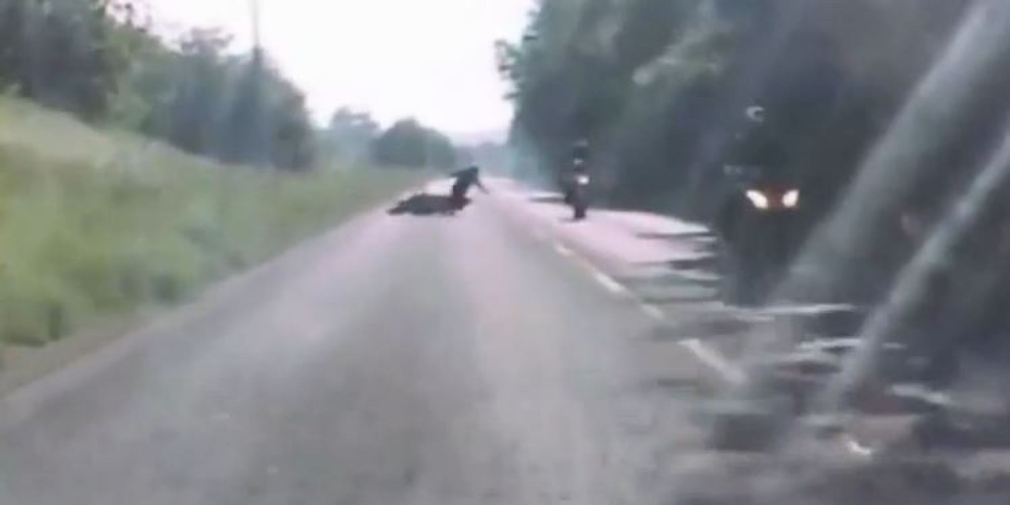 Dashcam Video Captures Motorcyclist's Dramatic NearDeath Crash