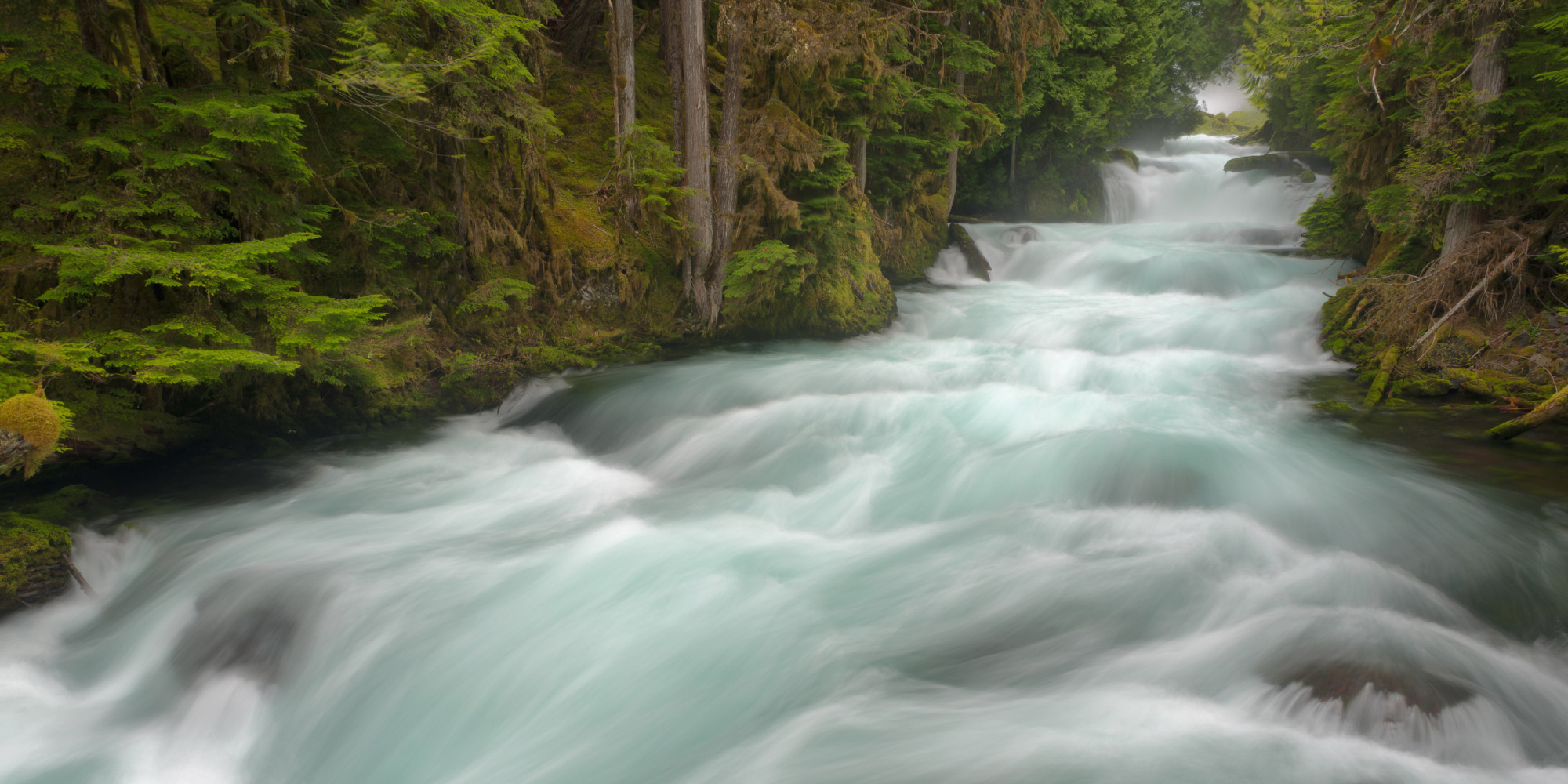 An Adieu to Cedar Lake Contemporary Ballet - Huffington Post