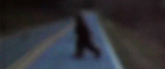 Bigfoot Video