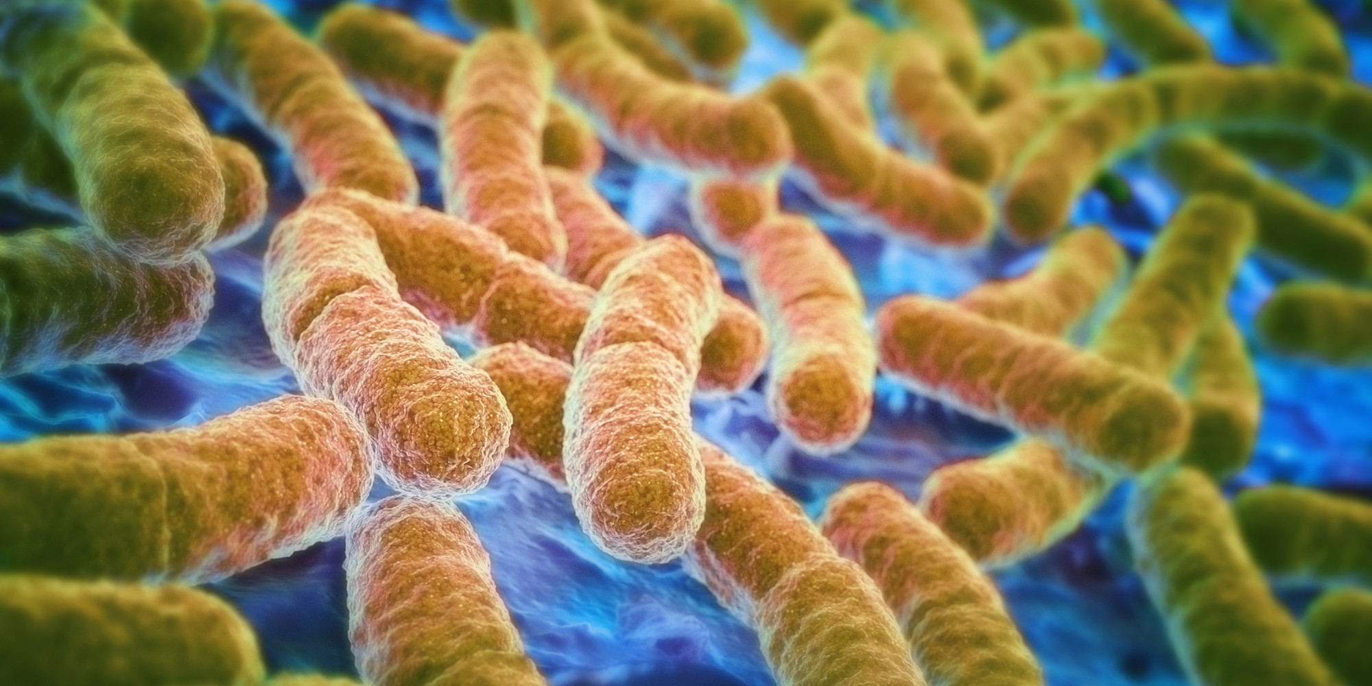 How Do Microorganisms Cause Food Poisoning Brainly