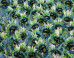 10 Absolutely Gorgeous Photos Of Rio's Carnival