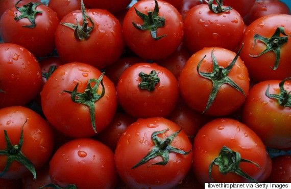 tomatoes
