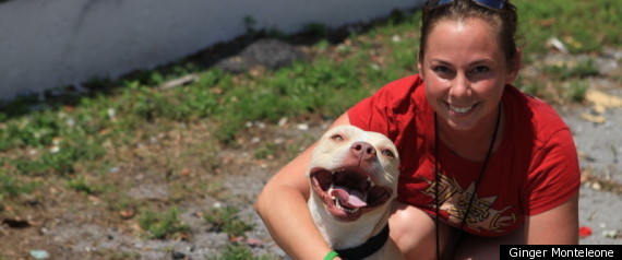 Dog Adoption