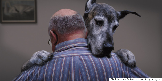 Businesses May Soon Be Forced To Cater To Man-Dog Weddings, Pat Robertson Claims