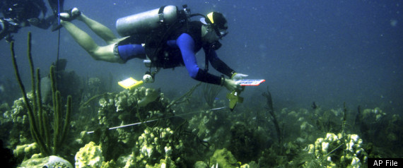 Japan Radiation Leak Ocean