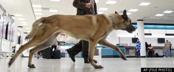 Man Barking At Police Dog