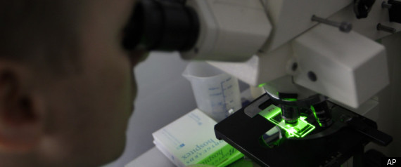 Genetically Modified Fungus Malaria