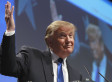 Birther-Bonkers Donald Trump Now Sending 'Investigators' To Hawaii