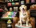 8 Wonderfully Unique Stores and Businesses In Dallas That You Should Know About