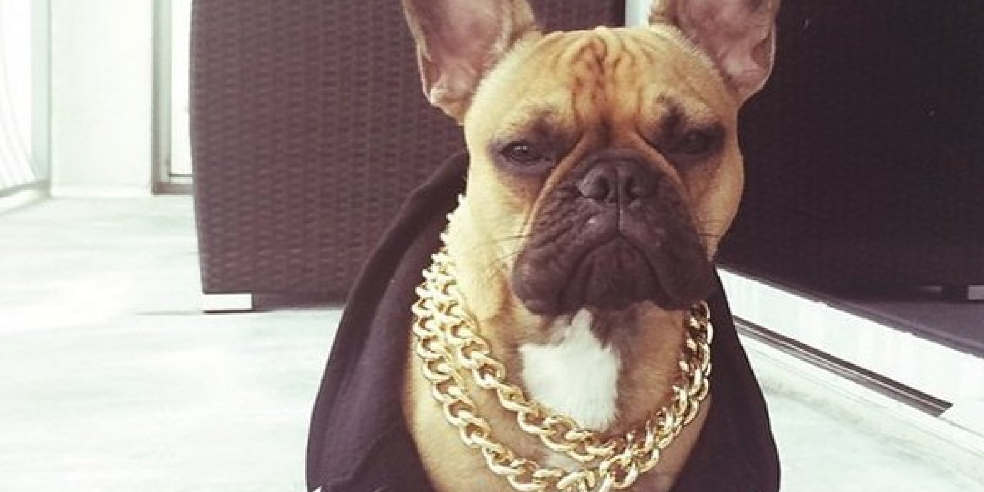 They're Small, Furry And They've Got Way More Money Than You Meet The