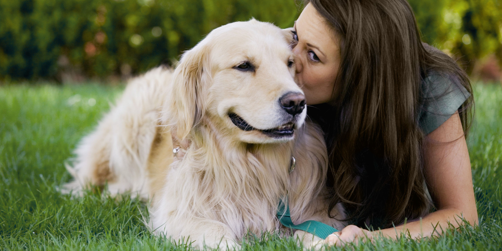 The Kennel, Use Rover For Your Dogs When You Go On Vacation