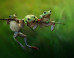 35 Of The Best Shortlisted Photos In The 2015 Sony World Photography Awards