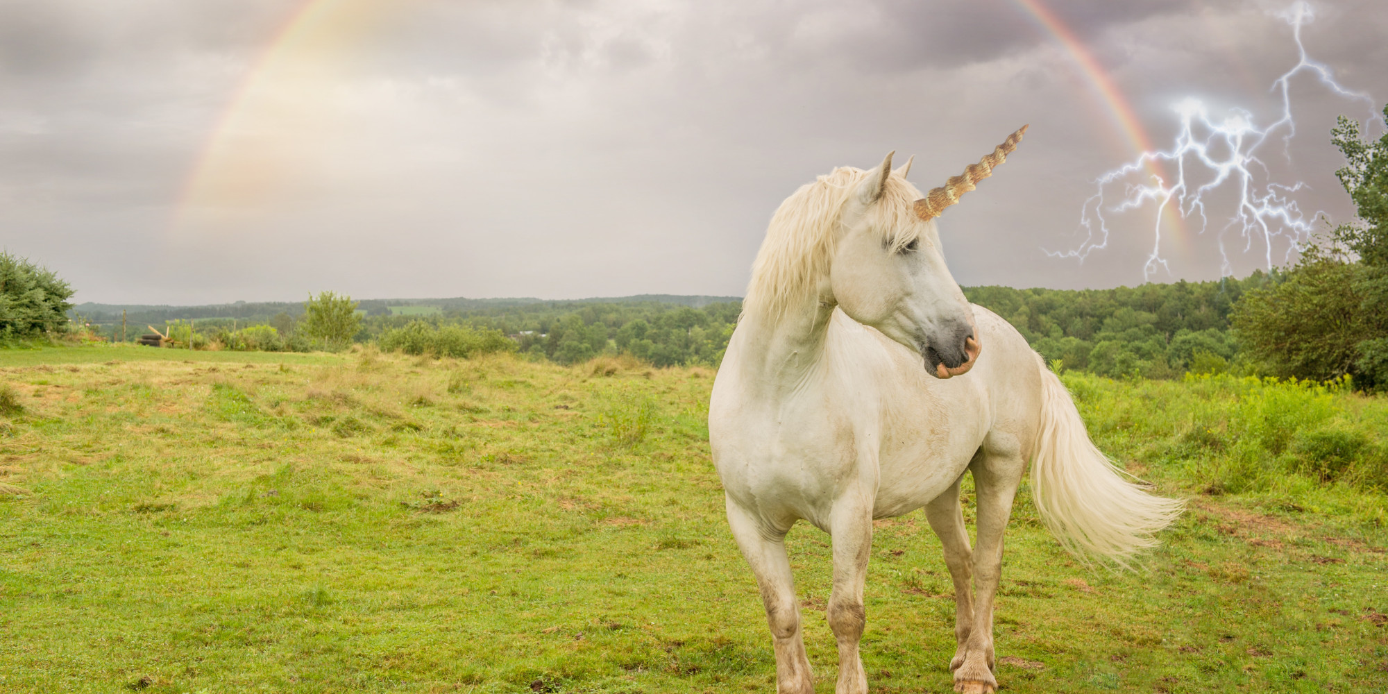 13 Stock Images Of Unicorns That Will Blind You With Majesty | HuffPost