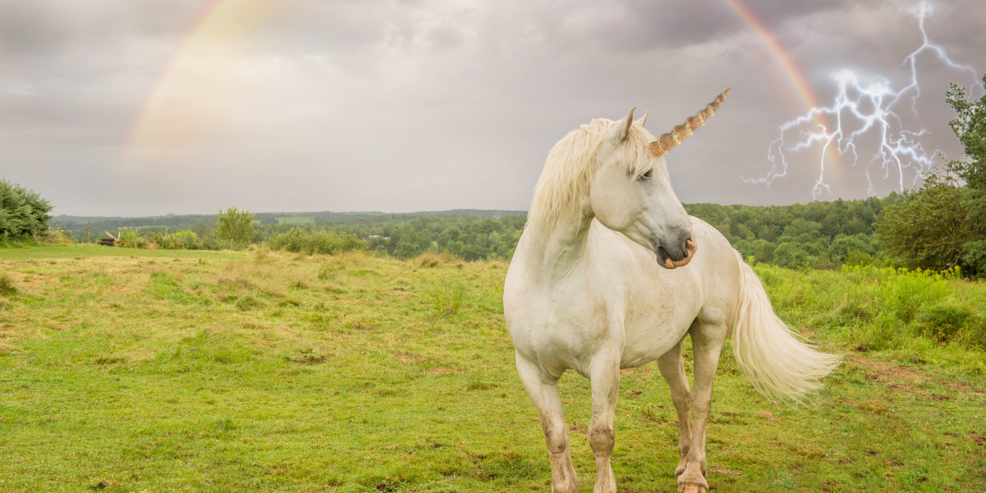 13-stock-images-of-unicorns-that-will-blind-you-with-majesty-huffpost