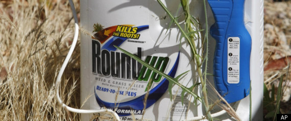 Roundup Weed