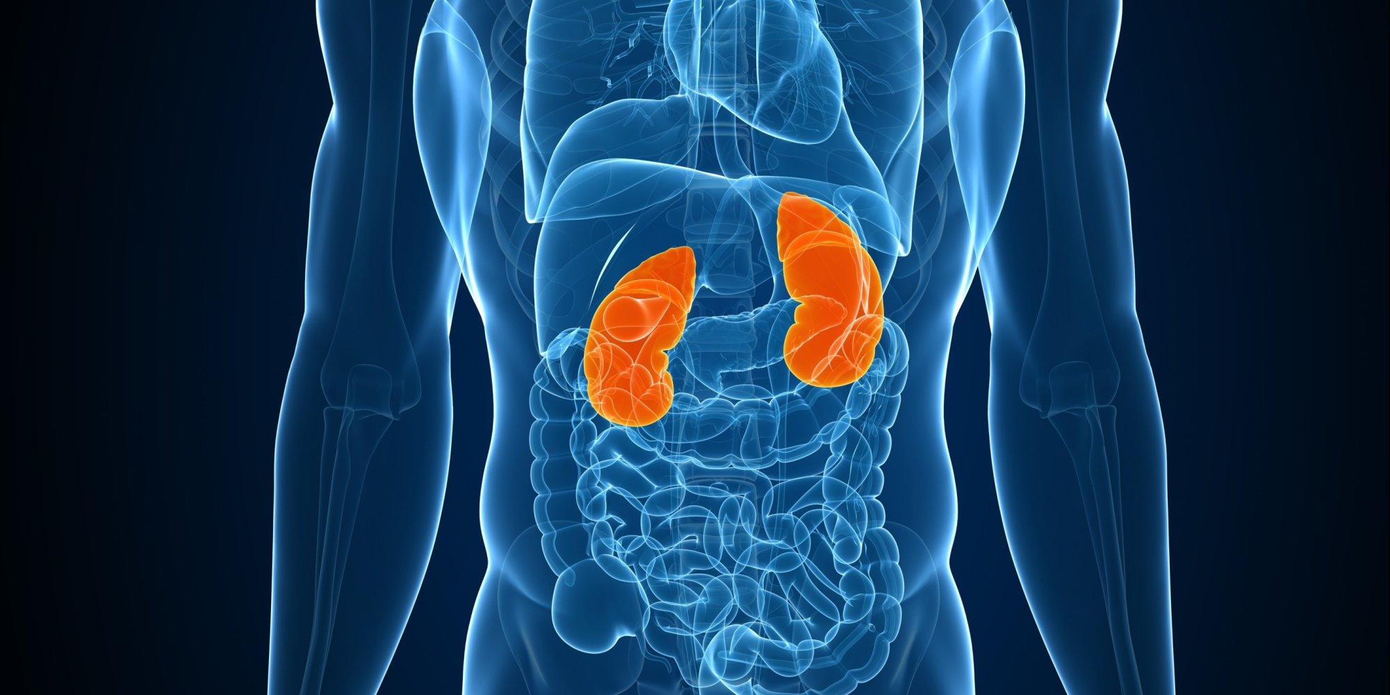 awesome-quotes-top-ten-drugs-that-cause-kidney-damage-please-do-not