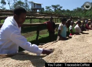 Pachamama Coffee Csa
