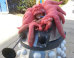 Baby's 'Doctor Who' Stroller Is Every Sci-Fi Lover's Dream
