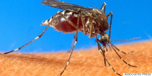 Alarming Consequences Of The California Drought You May Not Have Expected