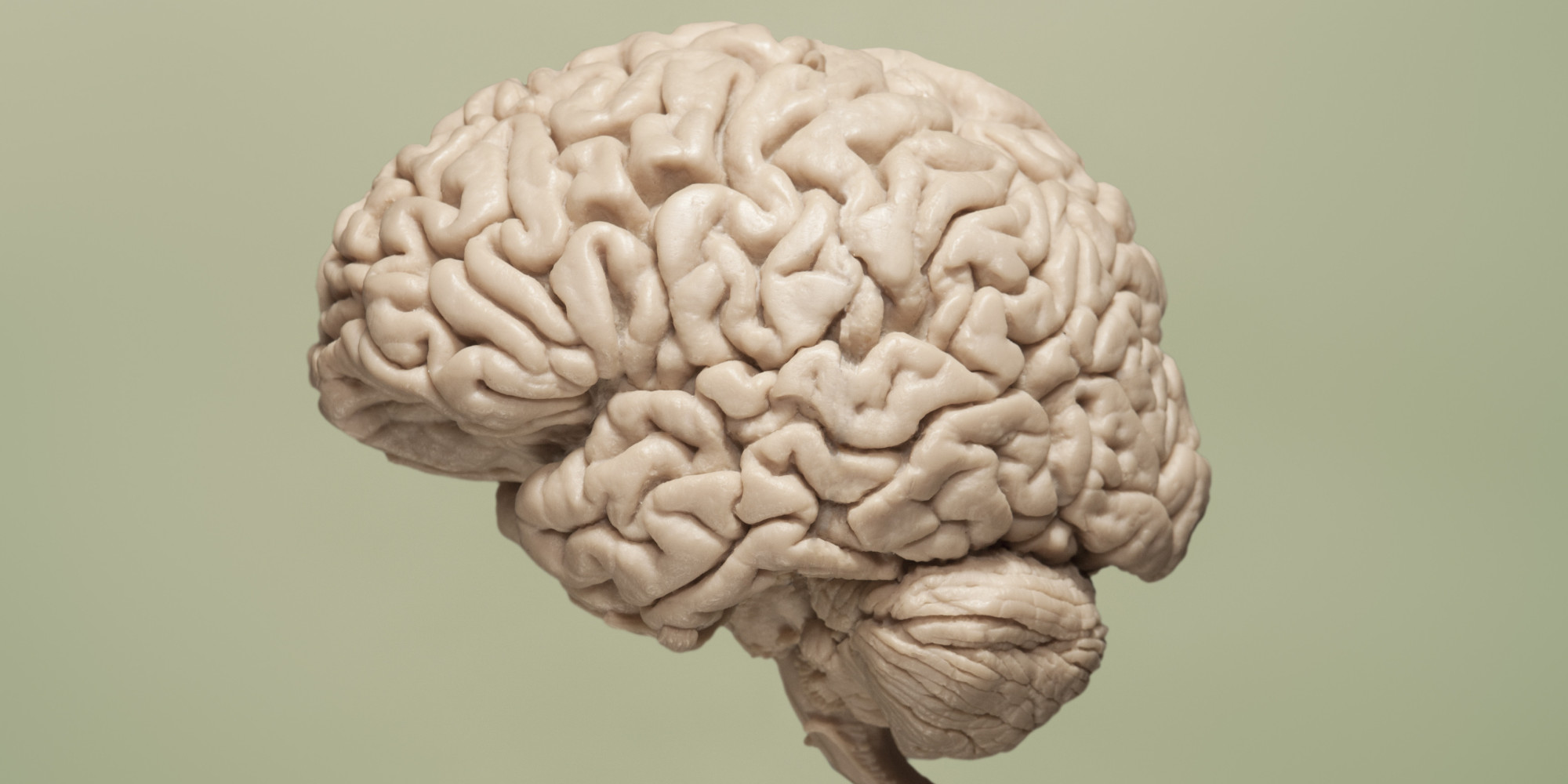 9 Things You Must Do for Your Brain | HuffPost