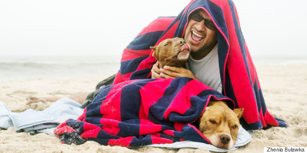 Touching Photo Series Captures Dying Pit Bull's First And Last Time Seeing The Ocean