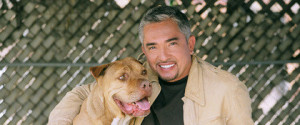 cesarmillan