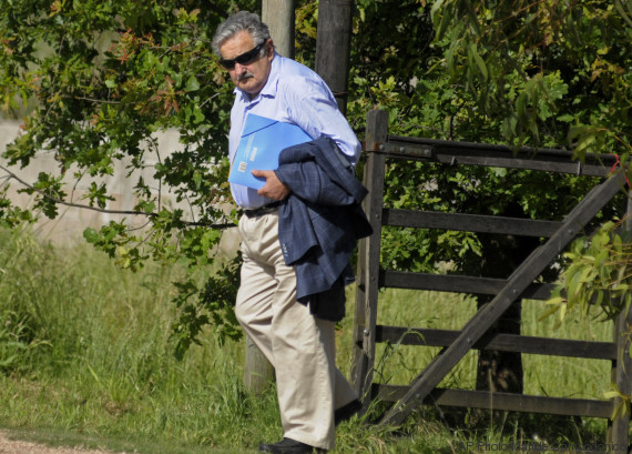 mujica fazenda