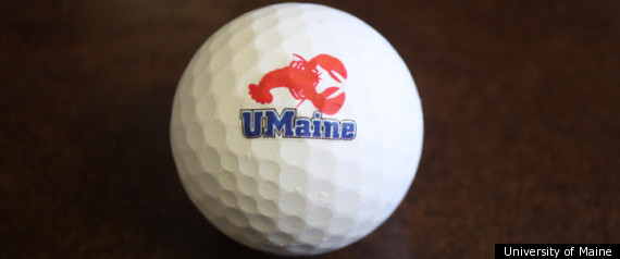 Lobster Golf Ball