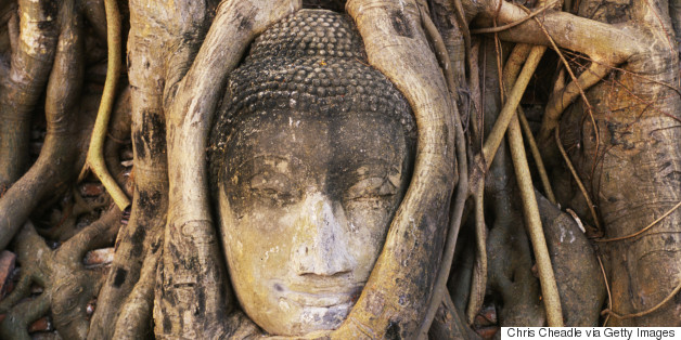 Buddhist Monks Ordain Trees To Protect The Environment