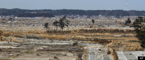 Japan Nuclear Crisis Roadmap