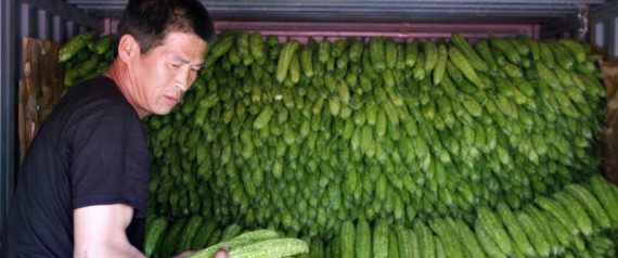 Food Prices