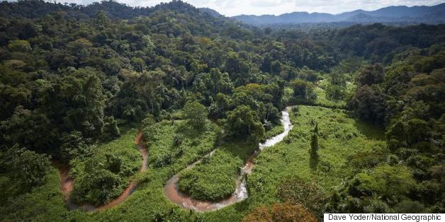 Lost City Discovered In Rainforest
