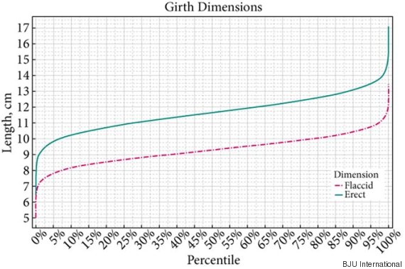 Average Size Penis Girth 24