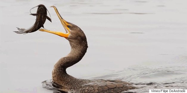 'If Nature Was My Savior, Than Photography Was My Soulmate'