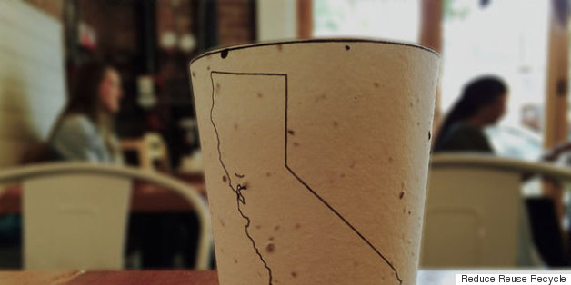 This Plantable Coffee Cup May Change The Way You See Waste