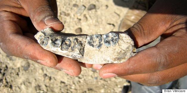 Fossil Shows Humans Existed Way Earlier Than We Thought