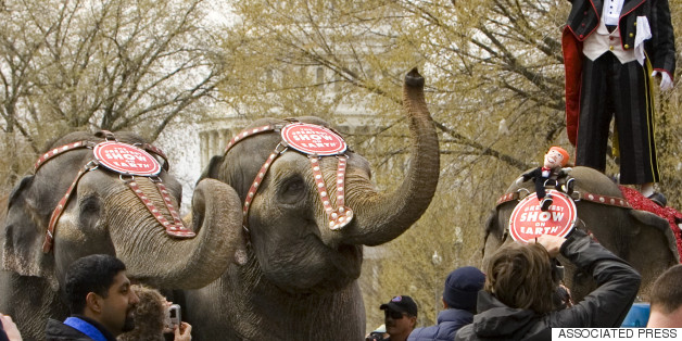 Ringling Bros. Circus To Phase Out Elephant Acts