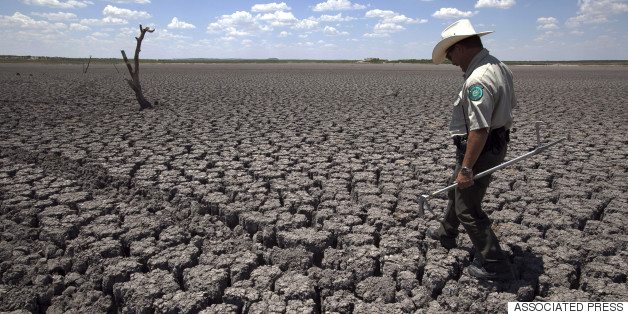 El Nino Finally Arrives, But Don't Expect Much