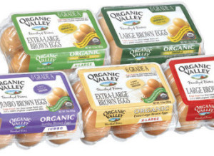Organic Valley Accused Of Violating Organic Egg Standards