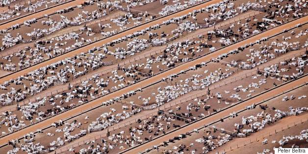 This Is What Humanity's Impact On The Planet Looks Like