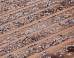 This Is What Humanity's Impact On The Planet Looks Like