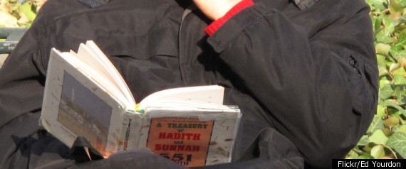 Book Reviews