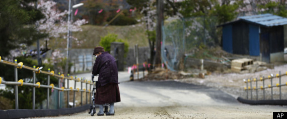 Japan Nuclear