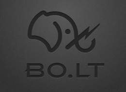 Bolt